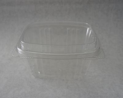 Container Plastic (With Lids)-Majestic - Redstar Foodservice Ltd